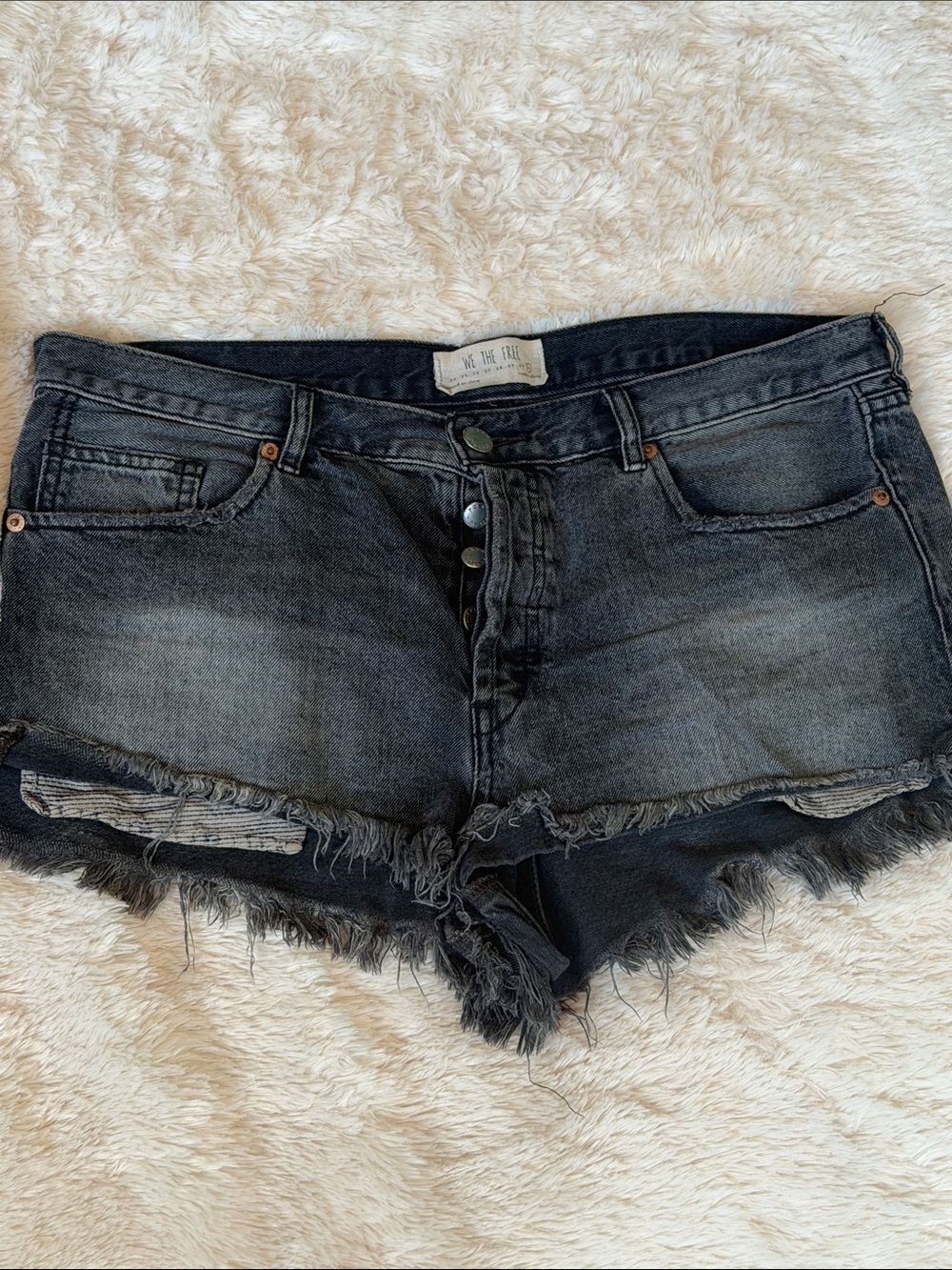 We The Free Washed Black Distressed Denim Cutoff Shorts